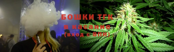 ГАЛЛЮЦИНОГЕННЫЕ ГРИБЫ Гусев