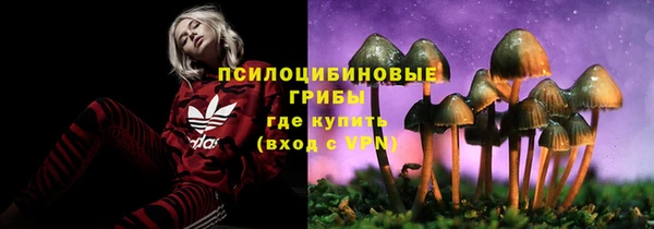 мдма Переславль-Залесский