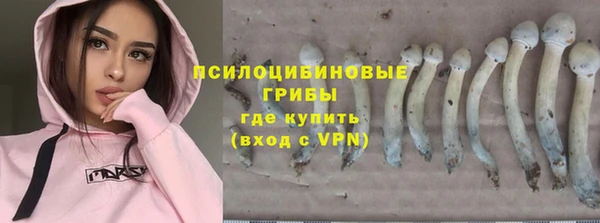 мдма Переславль-Залесский