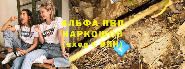 тгк Пестово