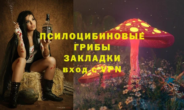 тгк Пестово