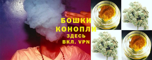 эйфоретик Гусь-Хрустальный