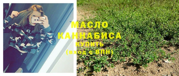 тгк Пестово