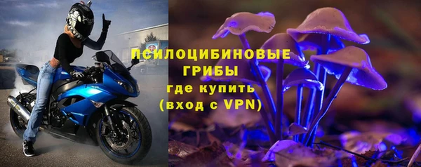 mix Осинники