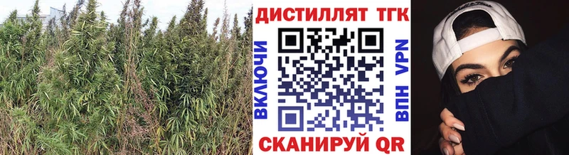 наркота  Очёр  Дистиллят ТГК гашишное масло 